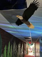 IMG_6256